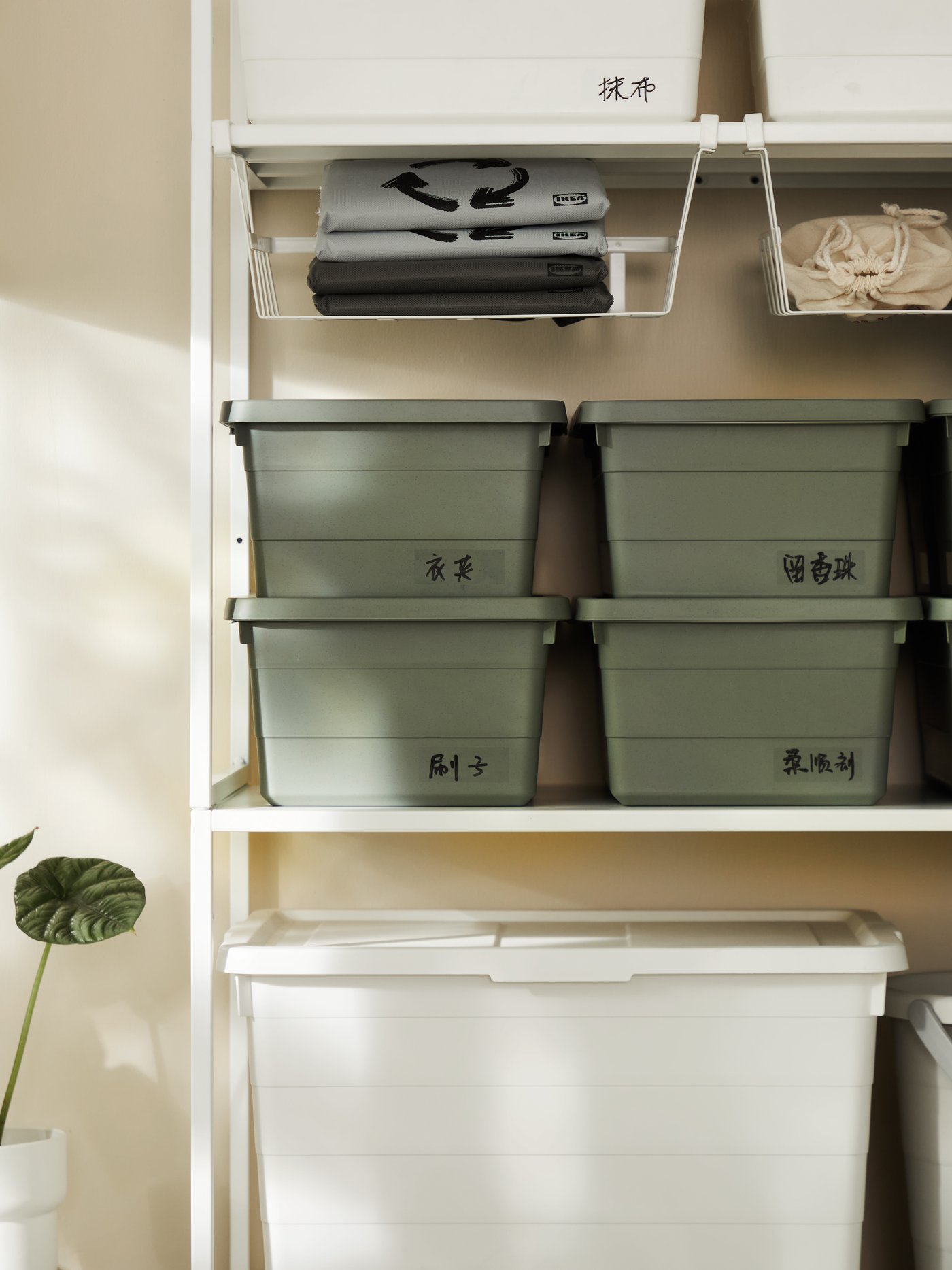 SOCKERBIT boxes neatly stacked in an outdoor shelf