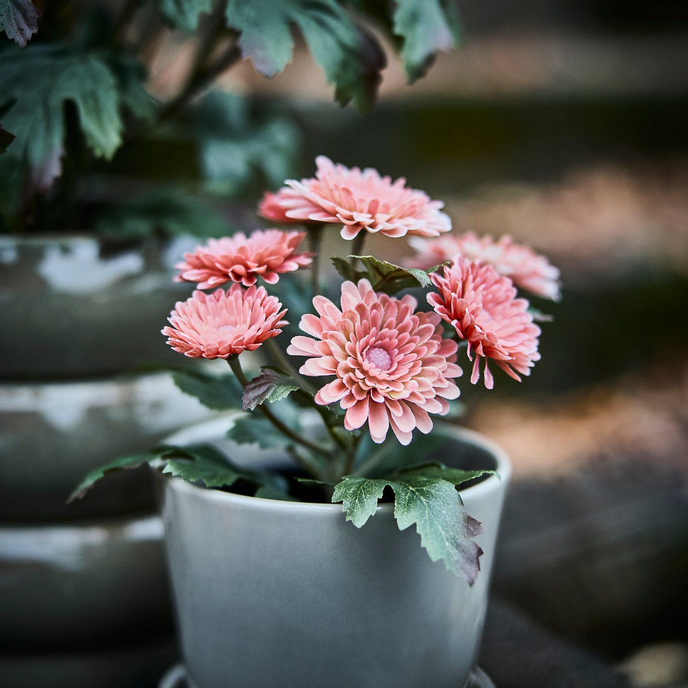 An in/outdoor/Chrysanthemums pink FEJKA artificial potted plant in the dining room