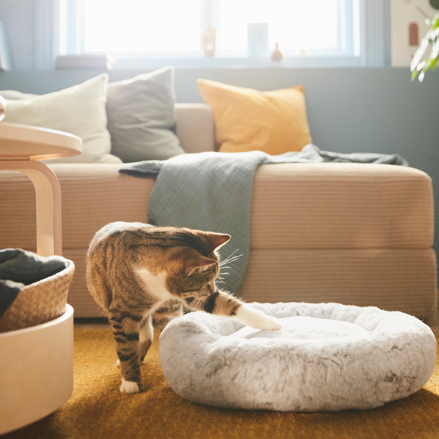 A light grey UTSÅDD pet bed