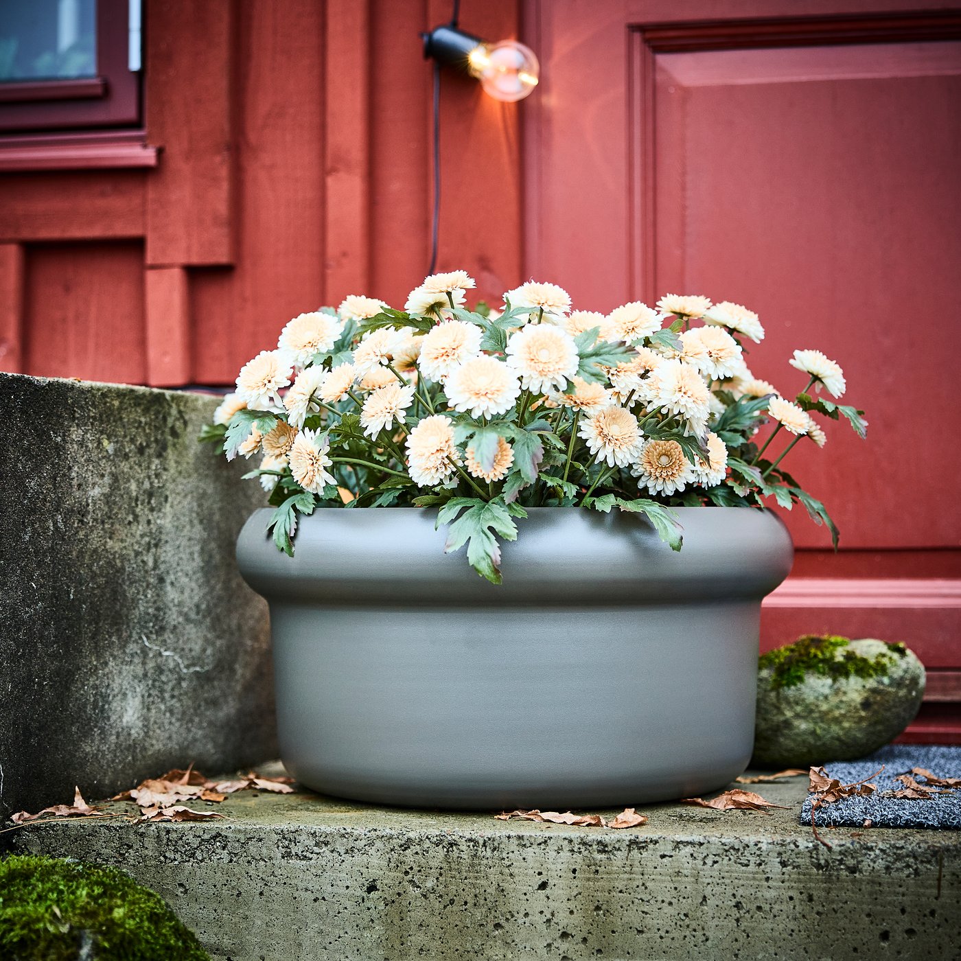 An in/outdoor/Chrysanthemums light orange FEJKA artificial potted plant in the dining room