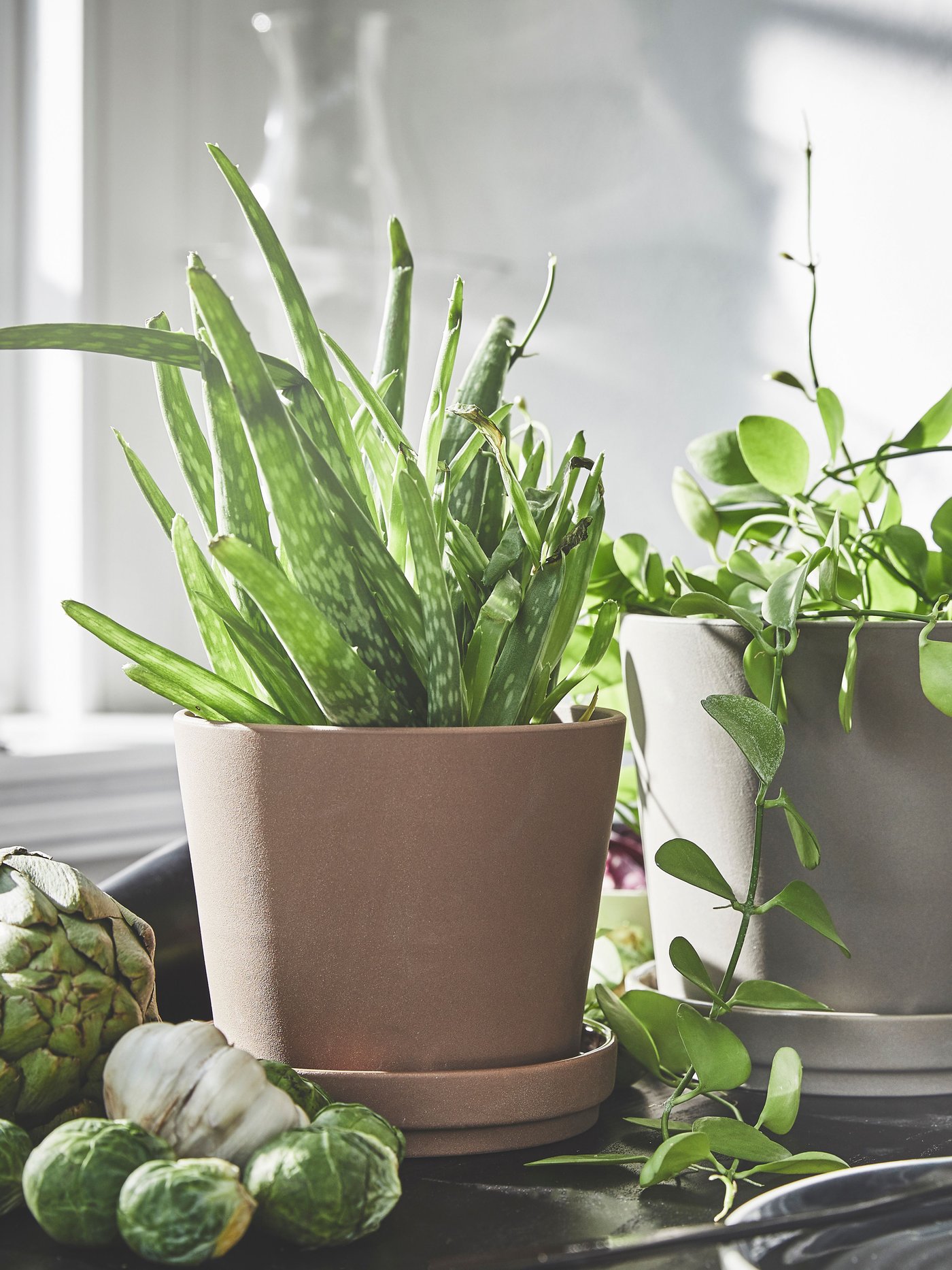 An in/outdoor brown KLARBÄR plant pot with saucer
