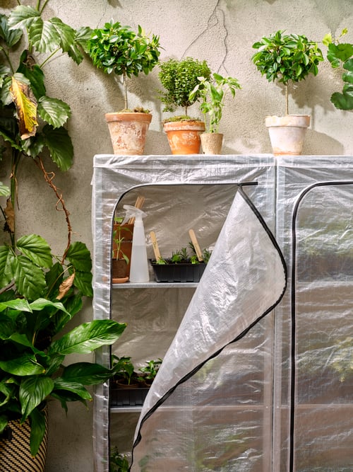 Balkon mit HYLLIS Regalen mit Überzug, in denen verschiedene Pflanzen angezogen werden. Obenauf und neben den Regalen stehen größere Pflanzen, u. a. mit der TOMAT Sprühflasche.