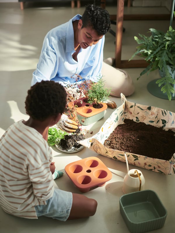 2 people sitting on the ground transplanting small plants from the DAKSJUS plant pot into a larger garden bed that has soil inside.