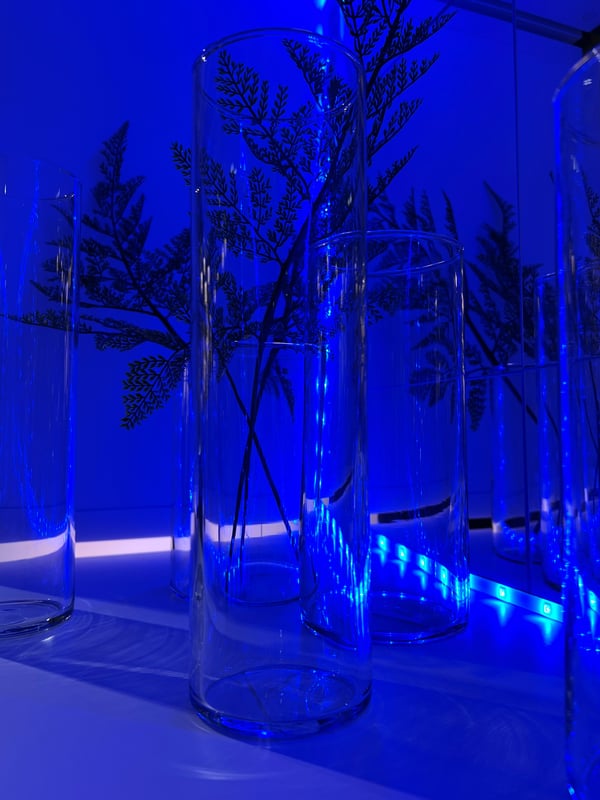 Blue light from LED strips shines through transparent vases of different heights