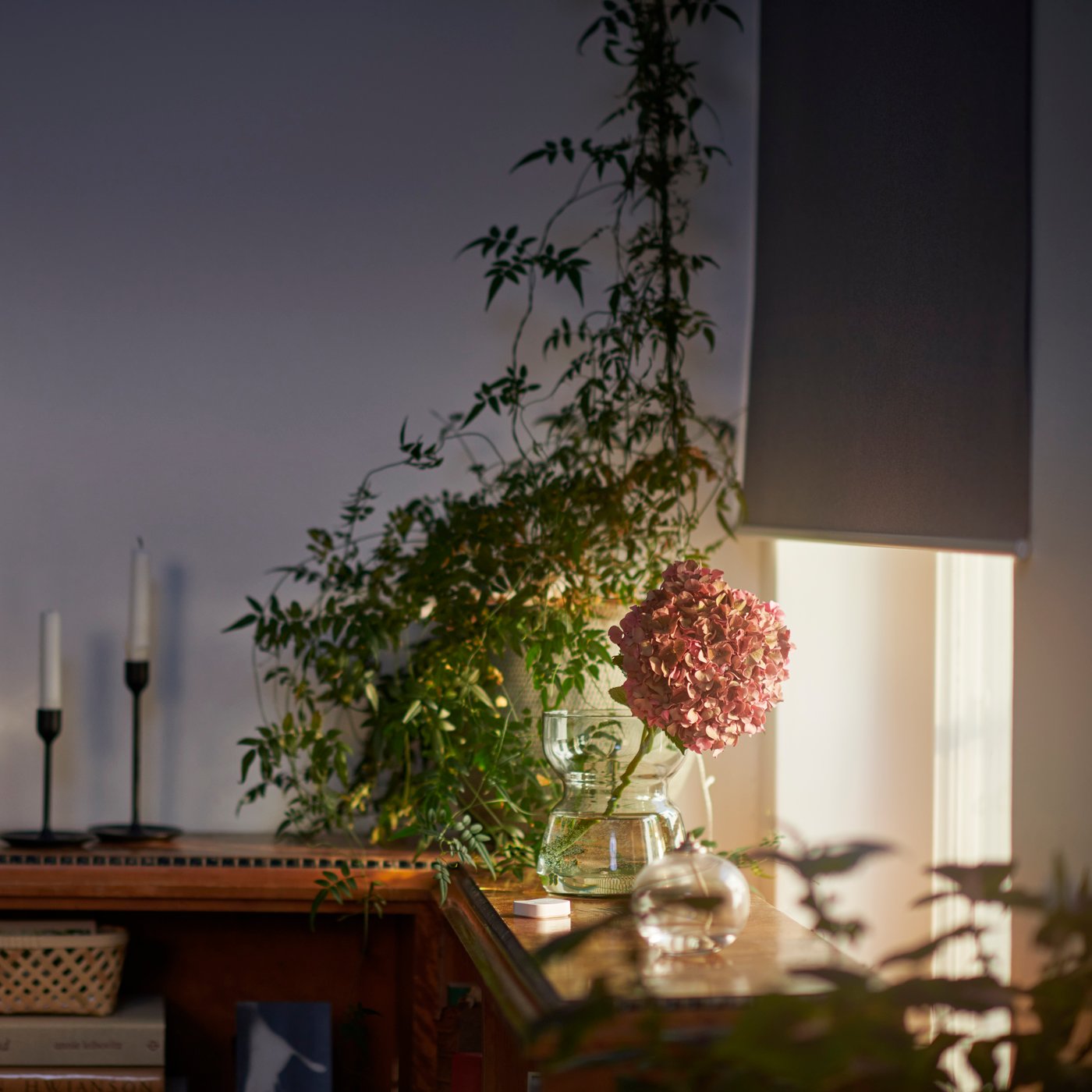 En smart trådlös/batteridriven grå FYRTUR mörkläggningsrullgardin