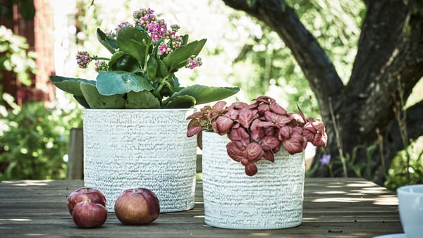 Due vasi da esterno bianchi CHIAFRÖN di diverse dimensioni appoggiati su un tavolo di legno all'aperto davanti a un albero.