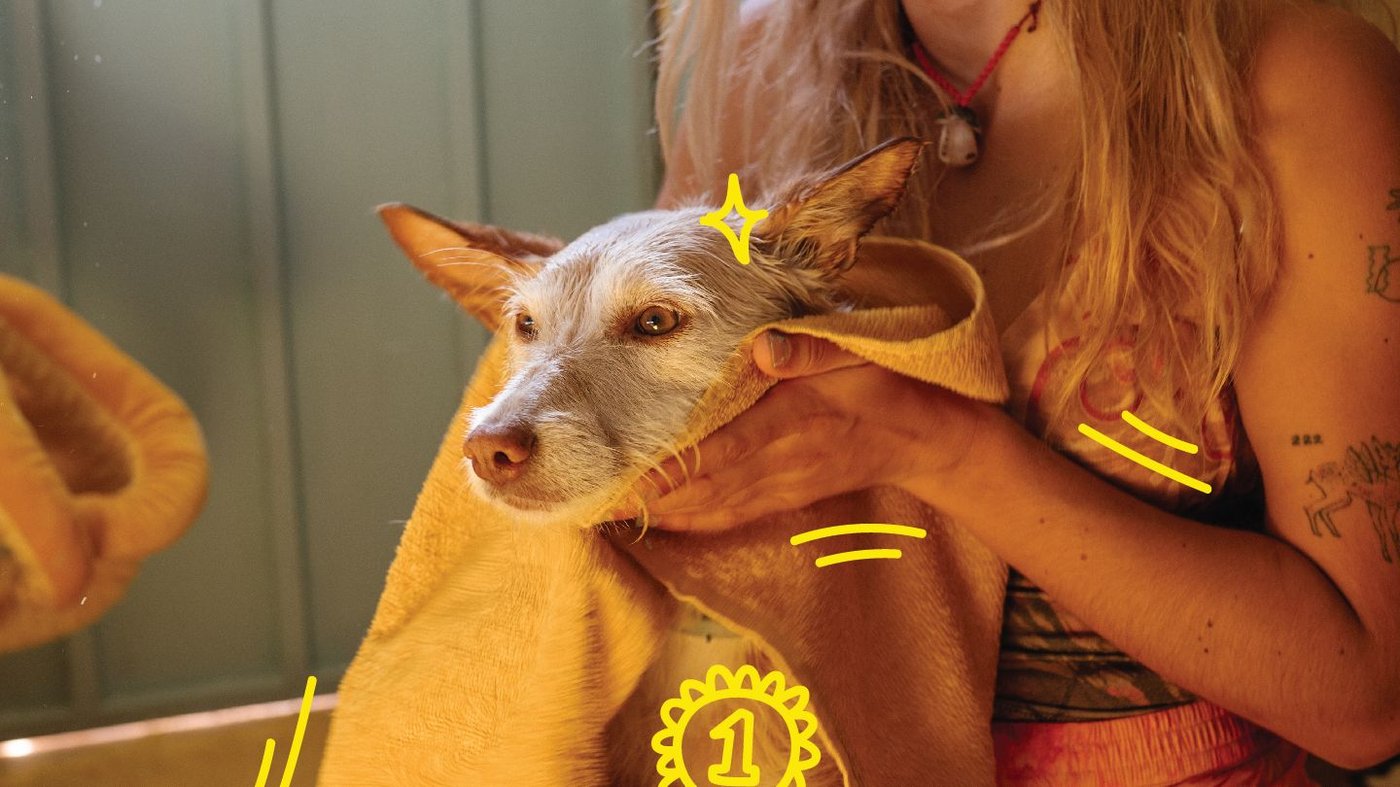 Spa day for pets IKEA