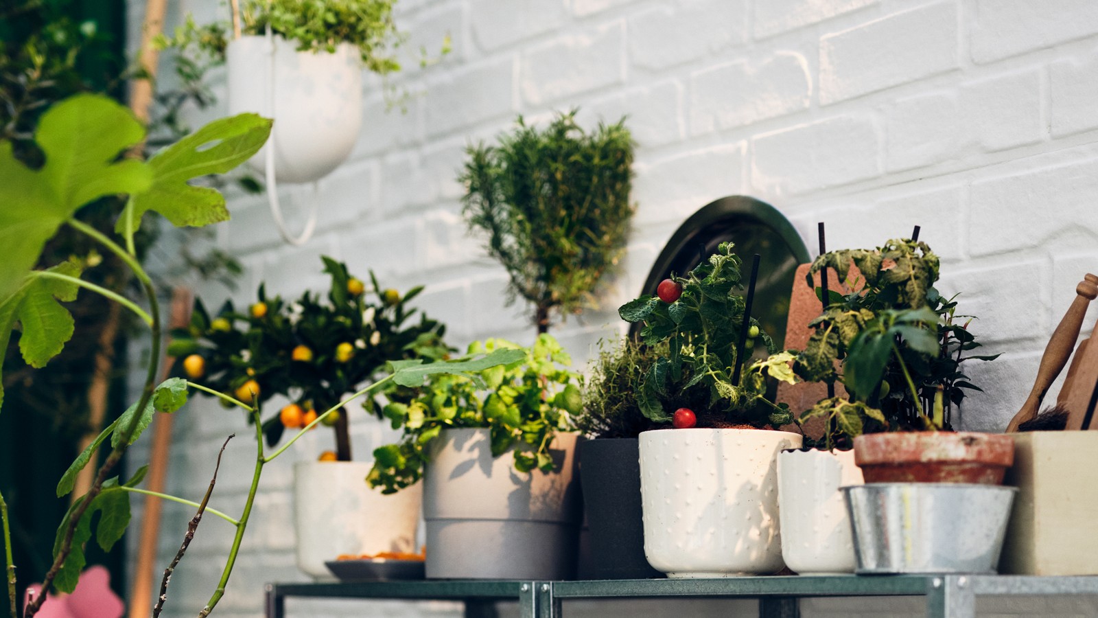 Vertical garden ideas to liven up your balcony - IKEA