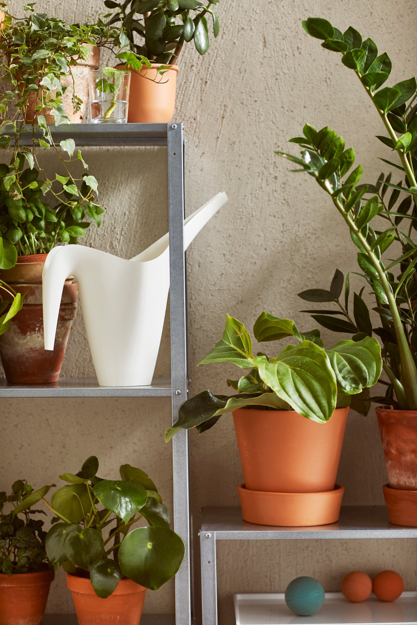 Plantes et accessoires IKEA.