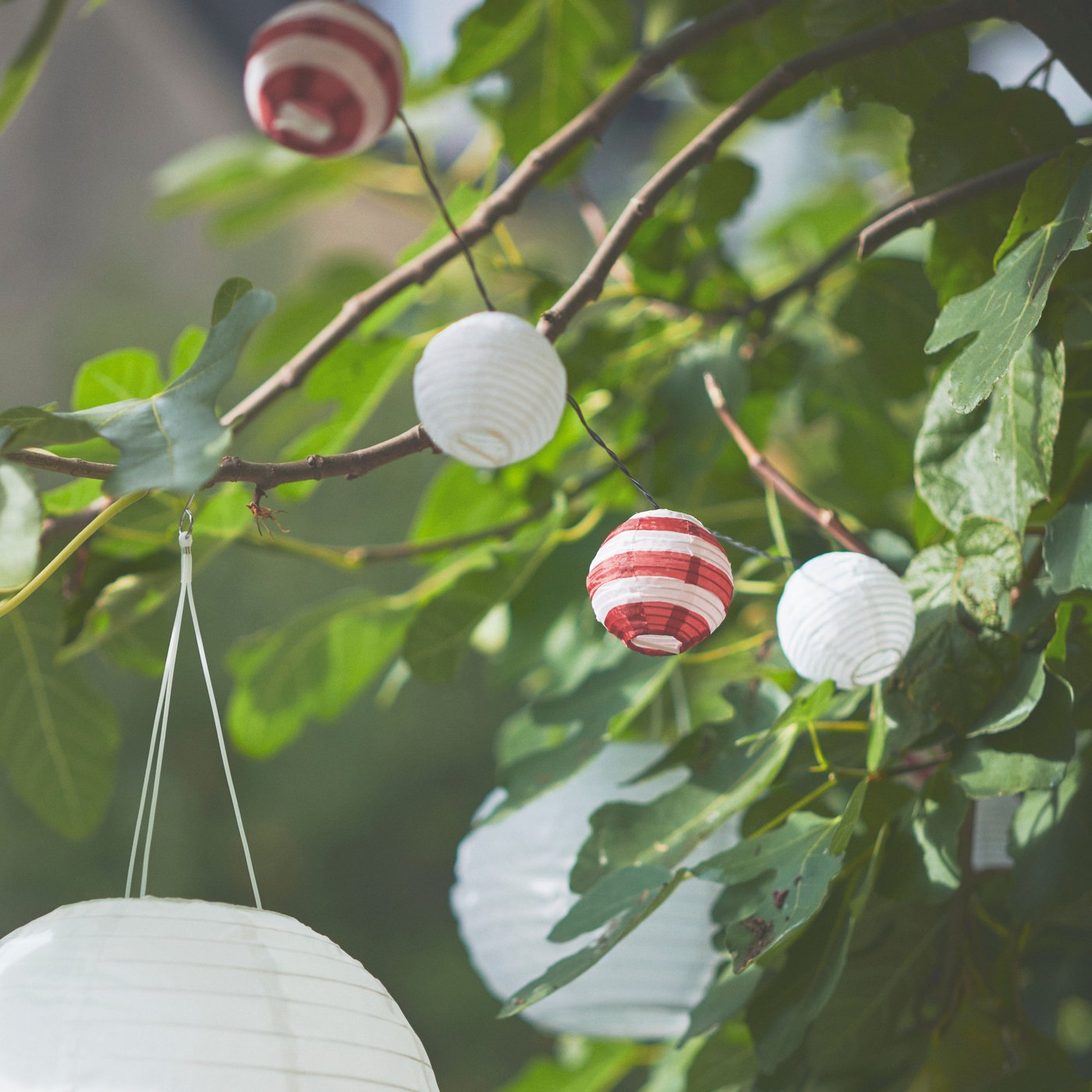 String Lights - LED String Lights - IKEA