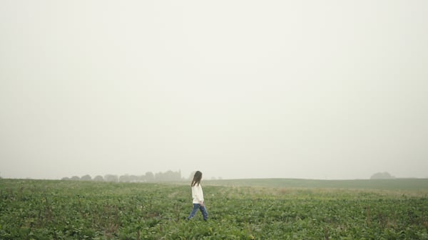 A person is walking through a green field on a foggy day.