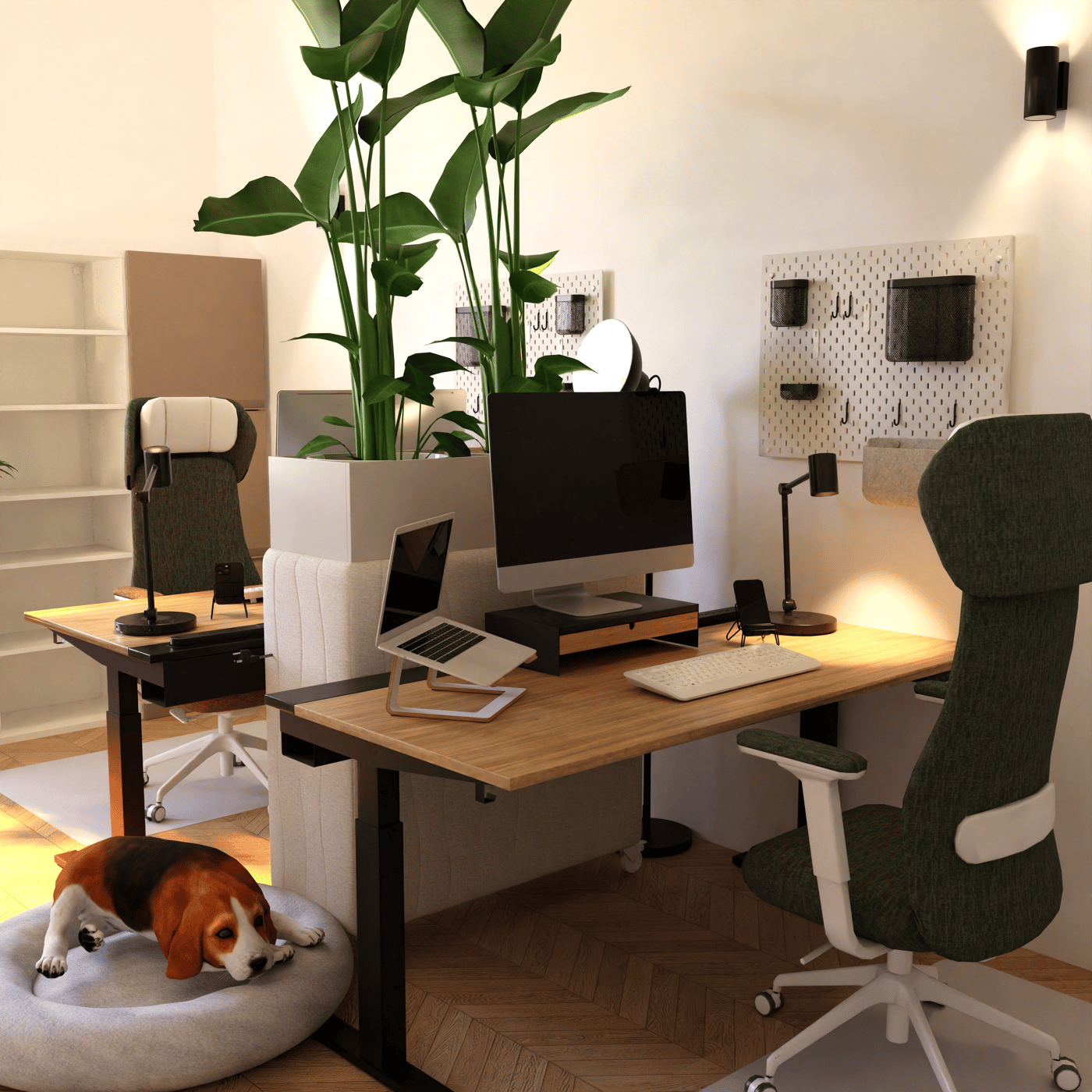 Modernes Büro mit Holzboden, ergonomischen Arbeitsplätzen, PCs, Laptops, großen Pflanzen als Raumteilern und einem Hund auf seinem Bett.