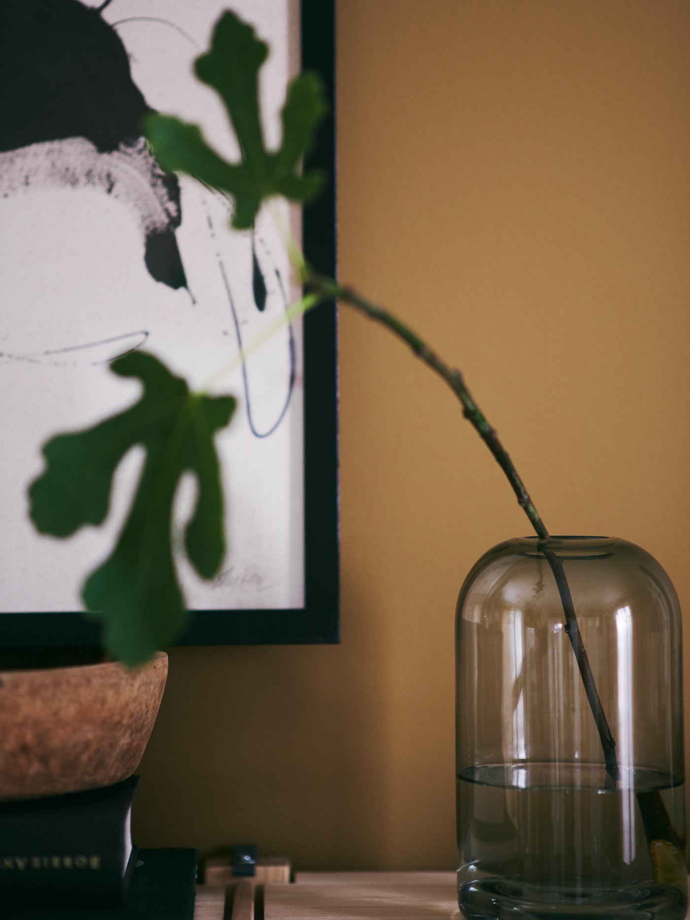 تضفي مزهرية DRÖMSK الزجاجية مع غصن التين البسيط لمسة هادئة من المساحات الخضراء.