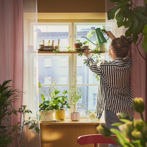 A kitchen window displays a person watering plants with a bright green DOFTRIPS watering can, red chairs.