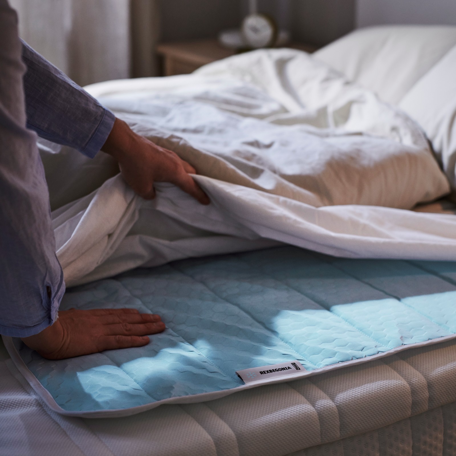 A REXBEGONIA cooling pad