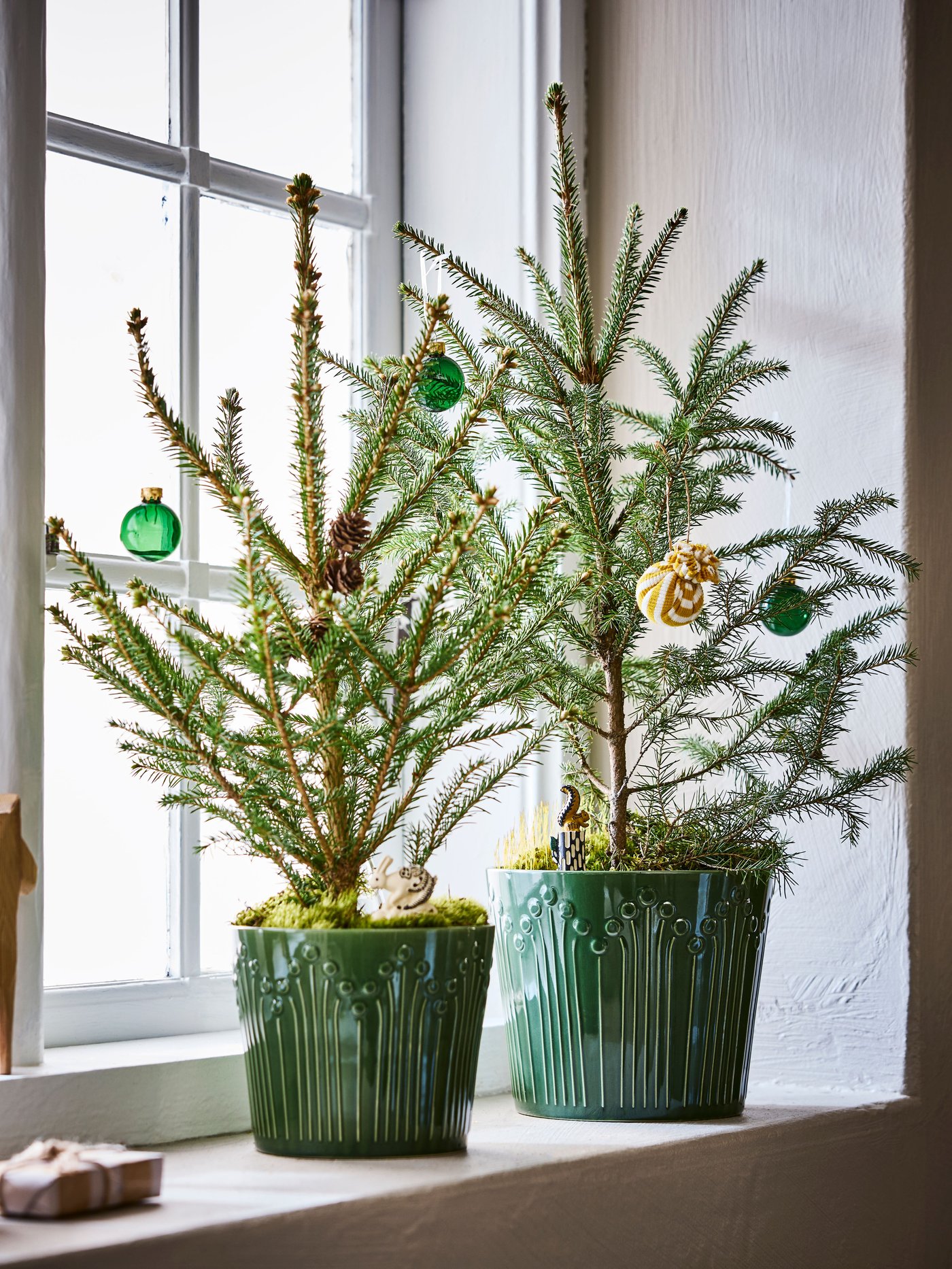 Maceteros verdes VINTERFINT con plantas navideñas dentro de ellos.