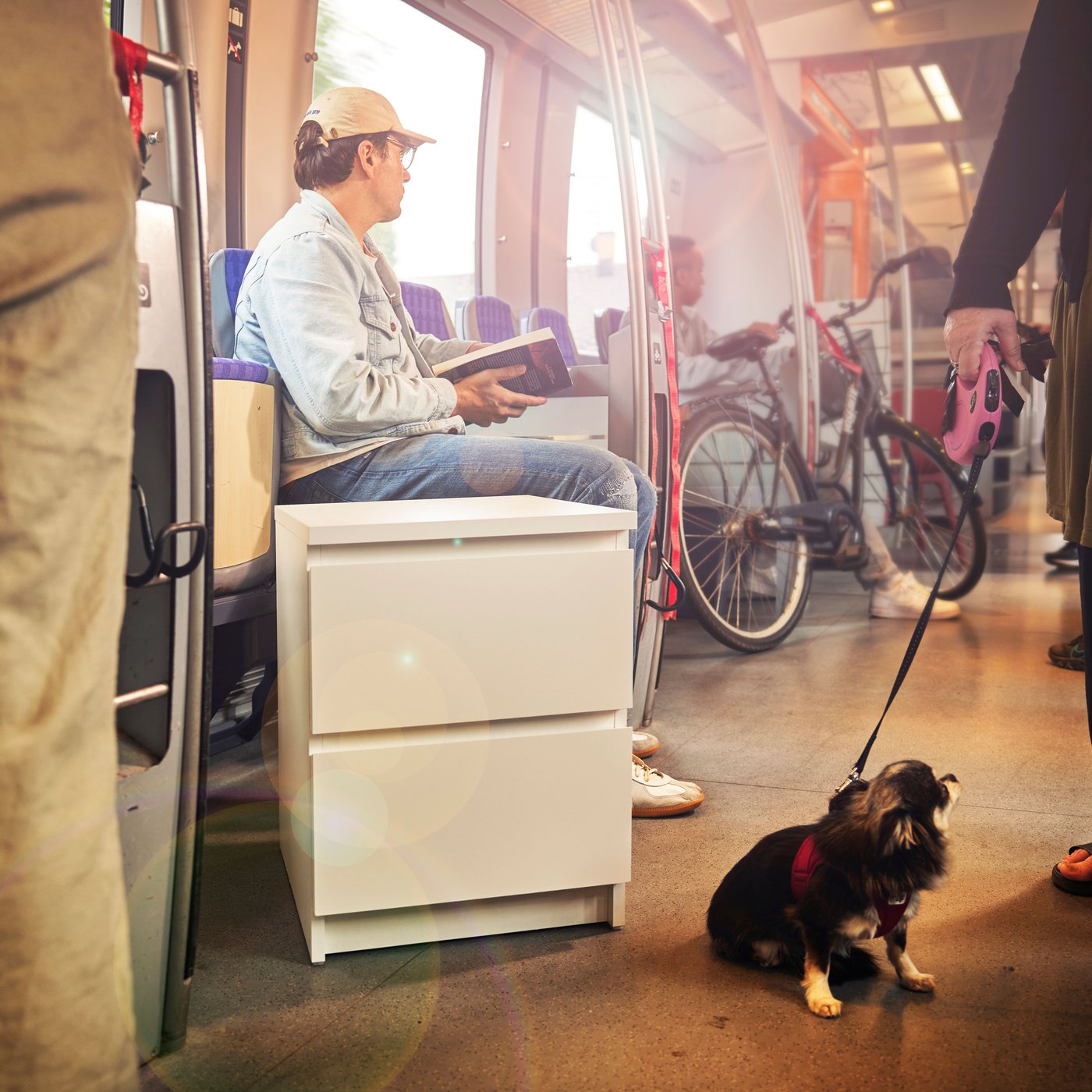 Mała komoda MALM z dwiema szufladami stojąca na podłdze w autobusie miejskim. Obok komody siedzi jamnik.