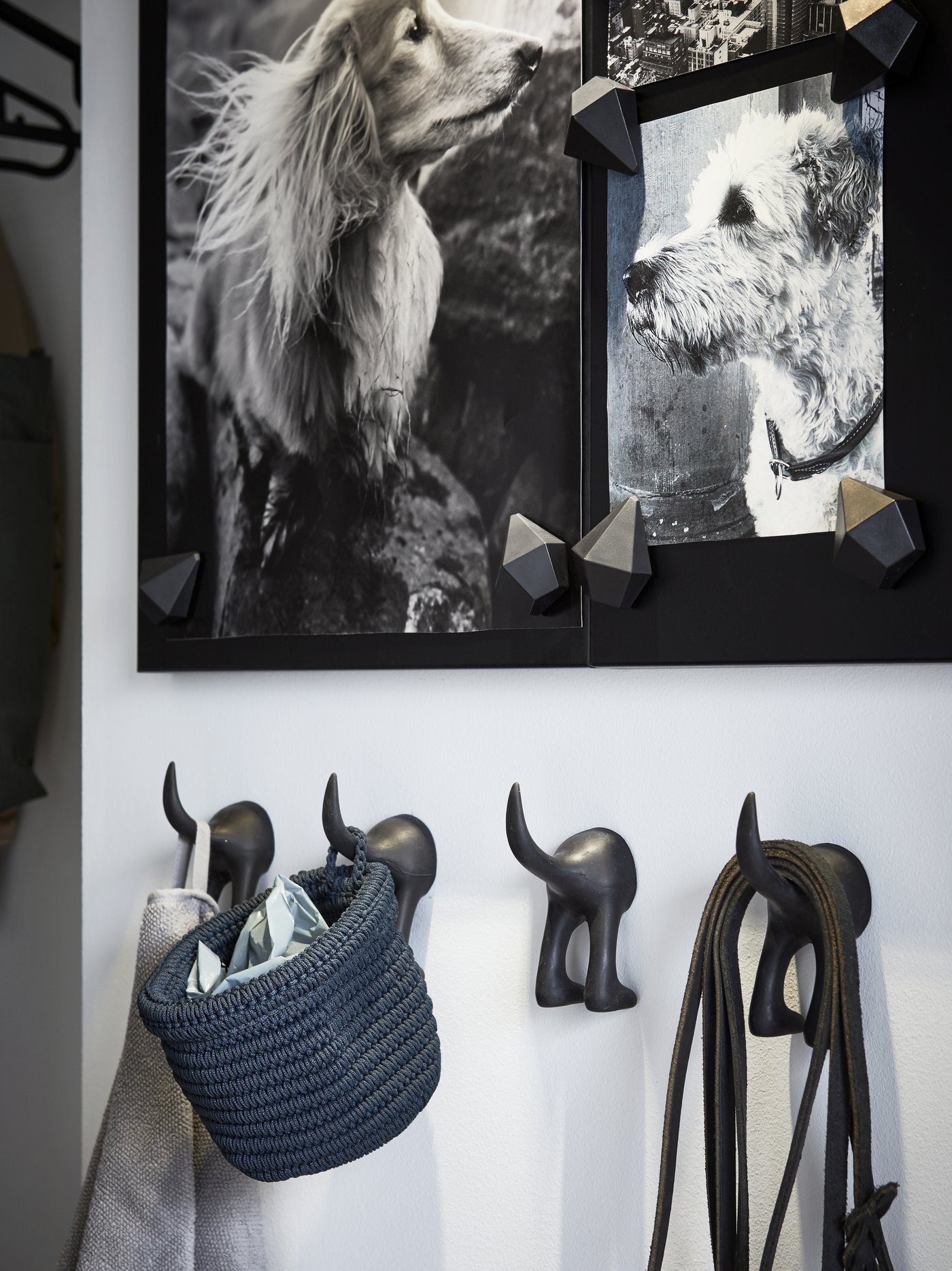 Black hooks hanging on wall with picture frame hanging above it