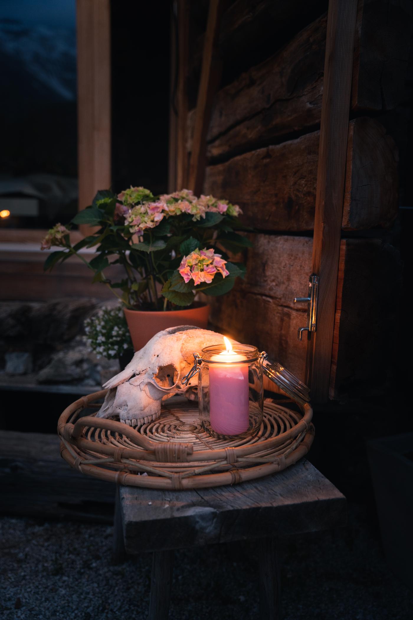 Ein beleuchtetes rosa Kerzenlicht steht neben einem Tier-Schädel auf einem geflochtenen Tablett, im Hintergrund eine blühende Topfpflanze vor einer Holzwand.