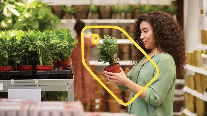 En kvinde kigger på en potteplanter, der er på IKEA Family tilbud.