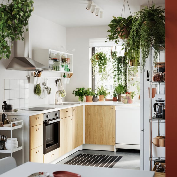 Une cuisine moderne dispose d’éléments bas KNOXHULT avec portes et façade en finition bois chaleureux, entourés de plantes vertes.