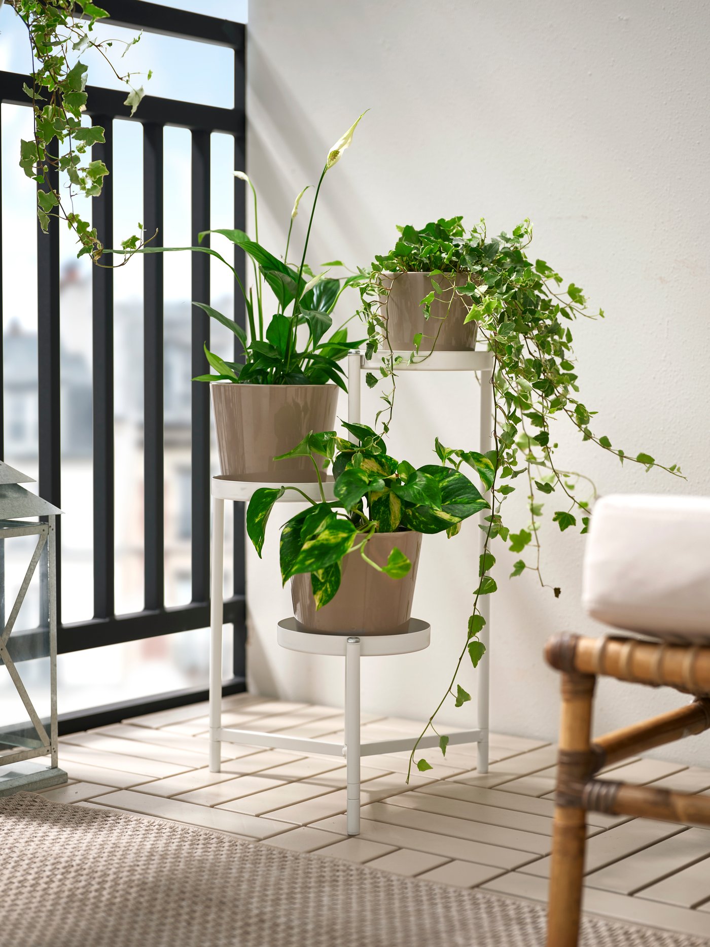 Moderner Pflanzenständer mit mehreren grünen Zimmerpflanzen.