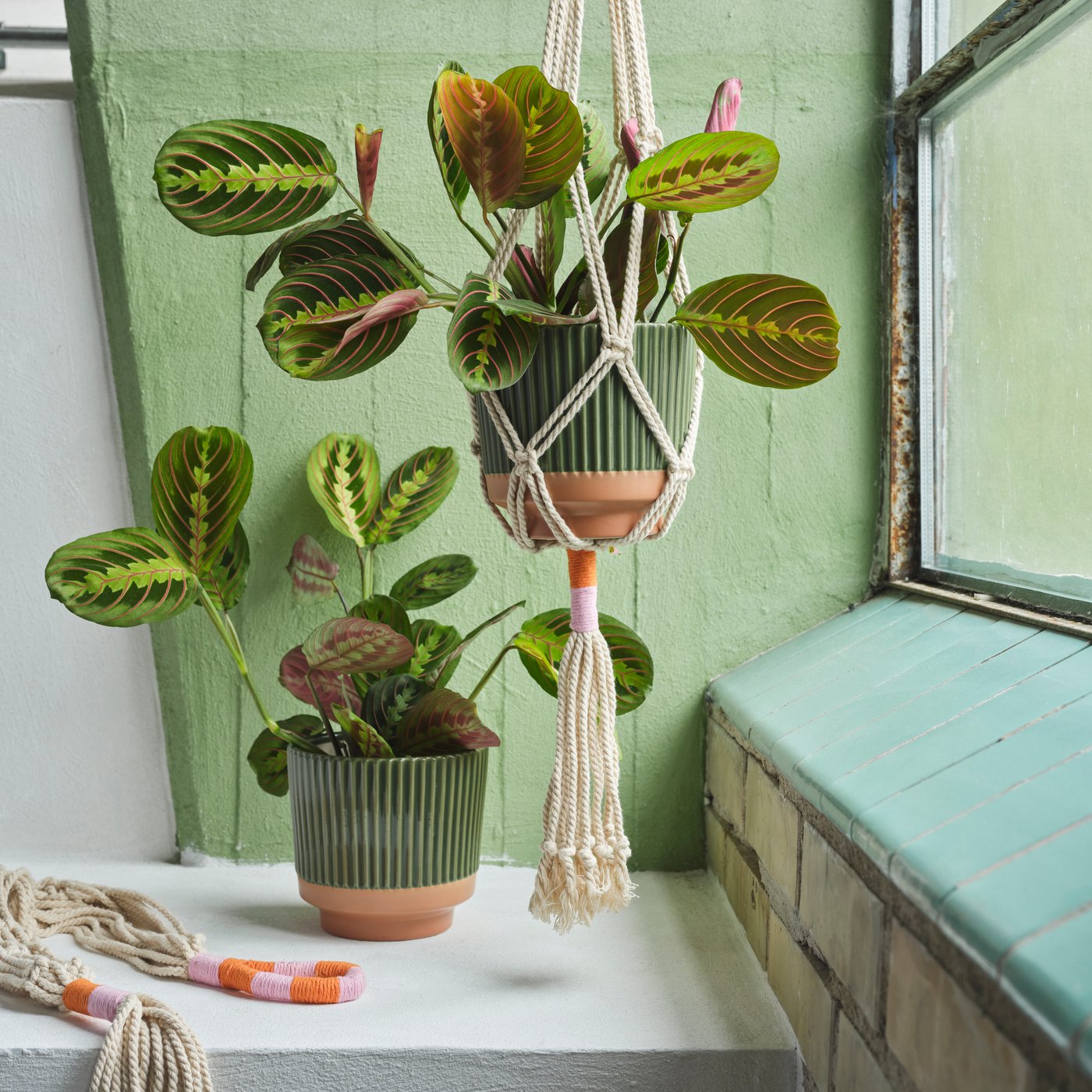 Two MÄVINN plant pots in green with green plants. One stands on a white ledge while the other hangs from the ceiling.