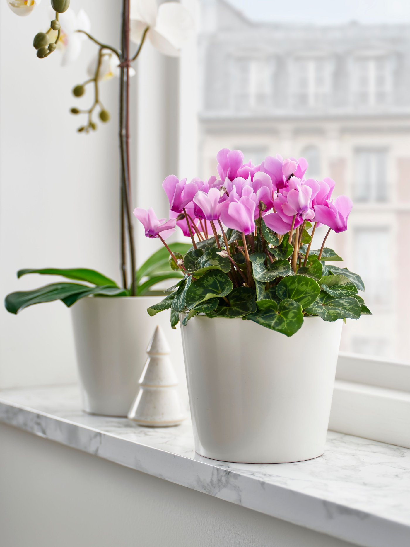 A white SOJABÖNA plant pot