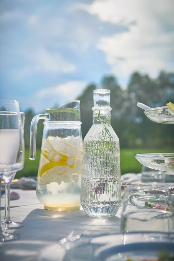SALLSKAPLIG carafe