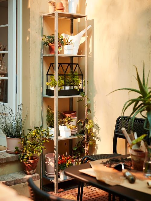 O etajeră gri care conține o seră decorativă, o stropitoare albă și ghivece cu mai multe plante. 