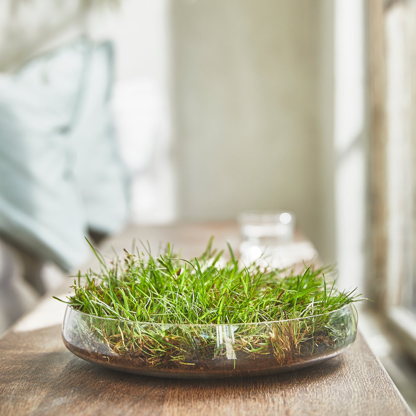 A Fresh grass/light green HEDERSAM scented candle in ceramic jar