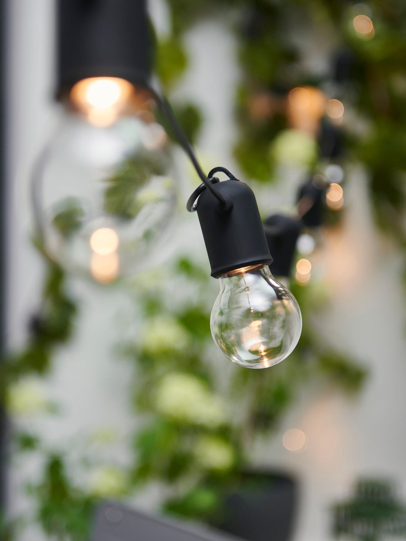 Närbild på en rad av glödlampor som hänger utomhus med grönska i bakgrunden.