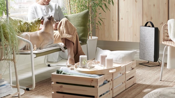 A pine KNAGGLIG box in the living room