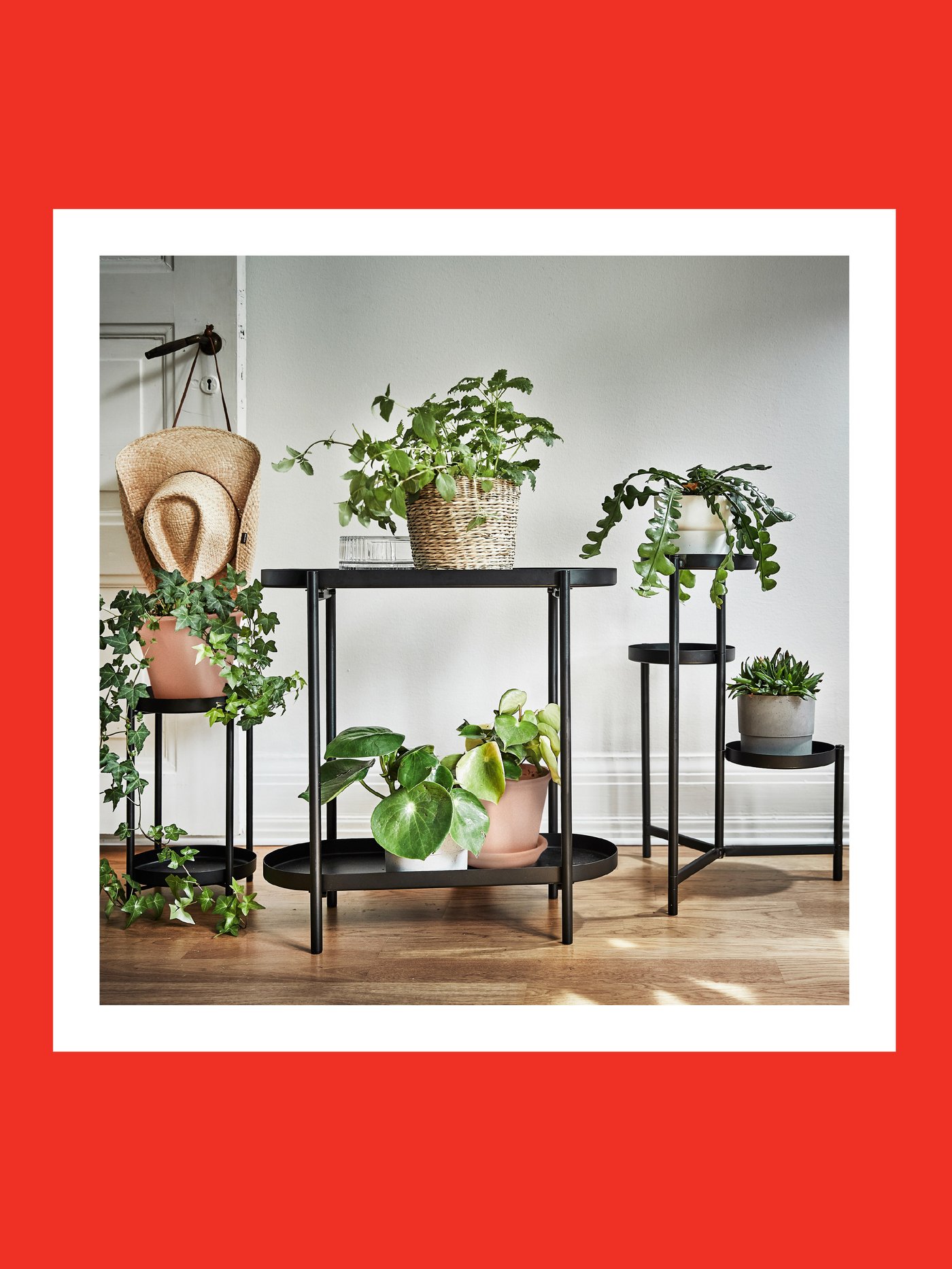 Up to 70% off on plant stands