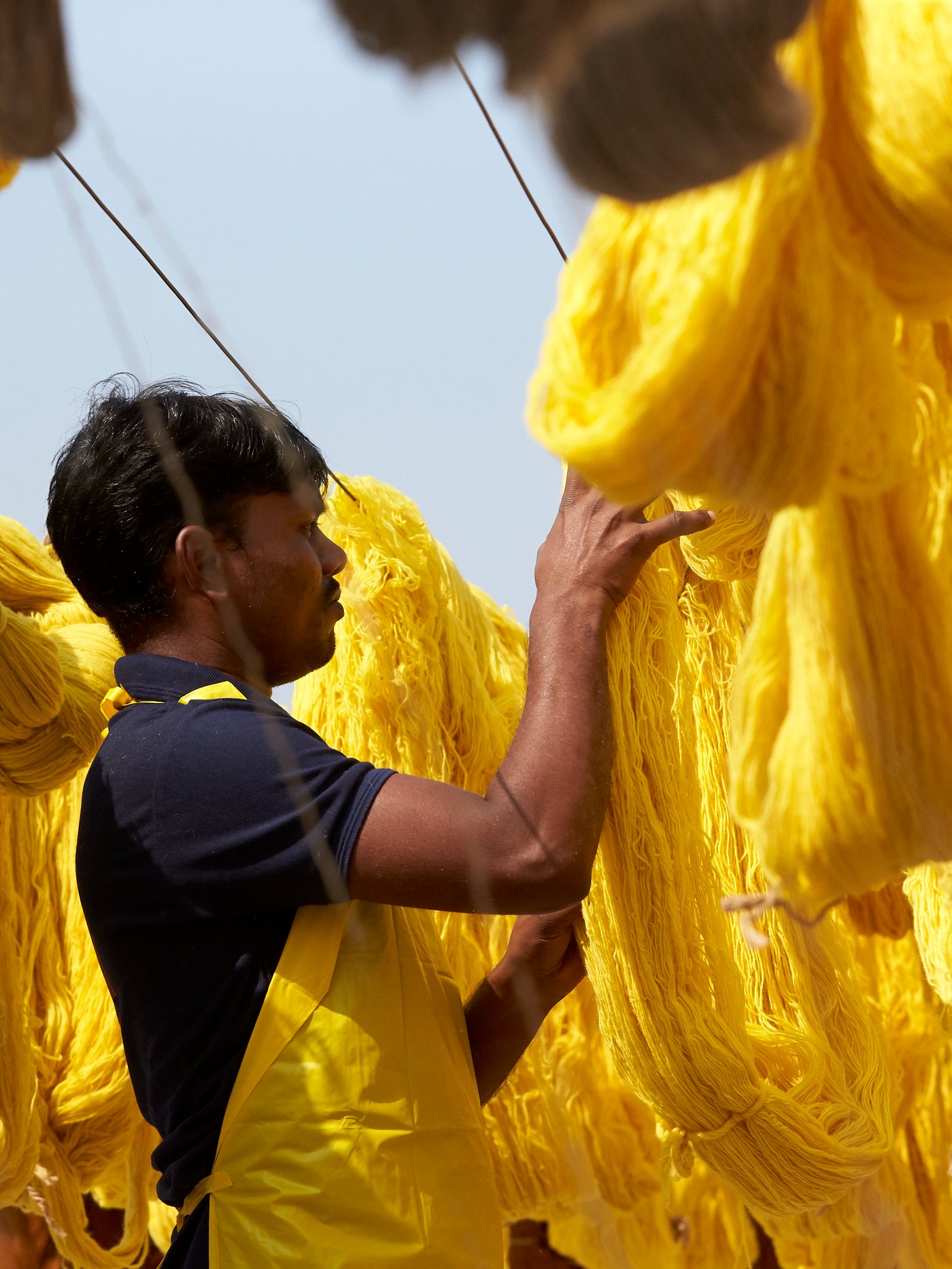 En mand iført en sort t-shirt og gult forklæde hænger lysegult, nyfarvet bomuld udenfor til tørre.