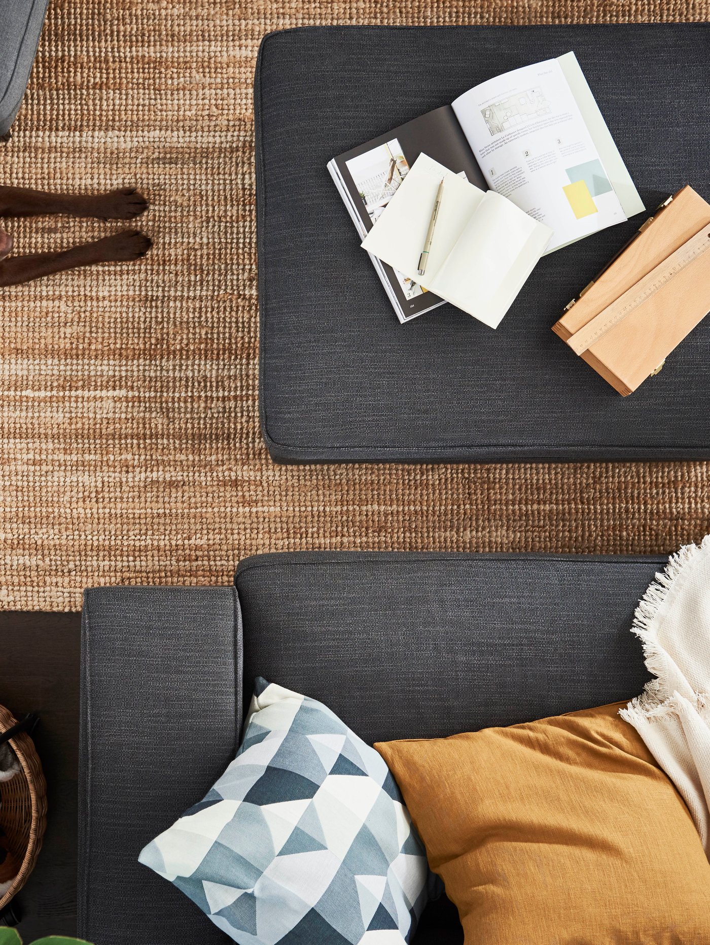 Wohnzimmer Raum mit Dreisitzer-Sofas, Hocker mit Stauraum, flachgewebtem Teppiche, Kissenbezügen, Überwurf, Schreibutensilien, Buch, Hund.
