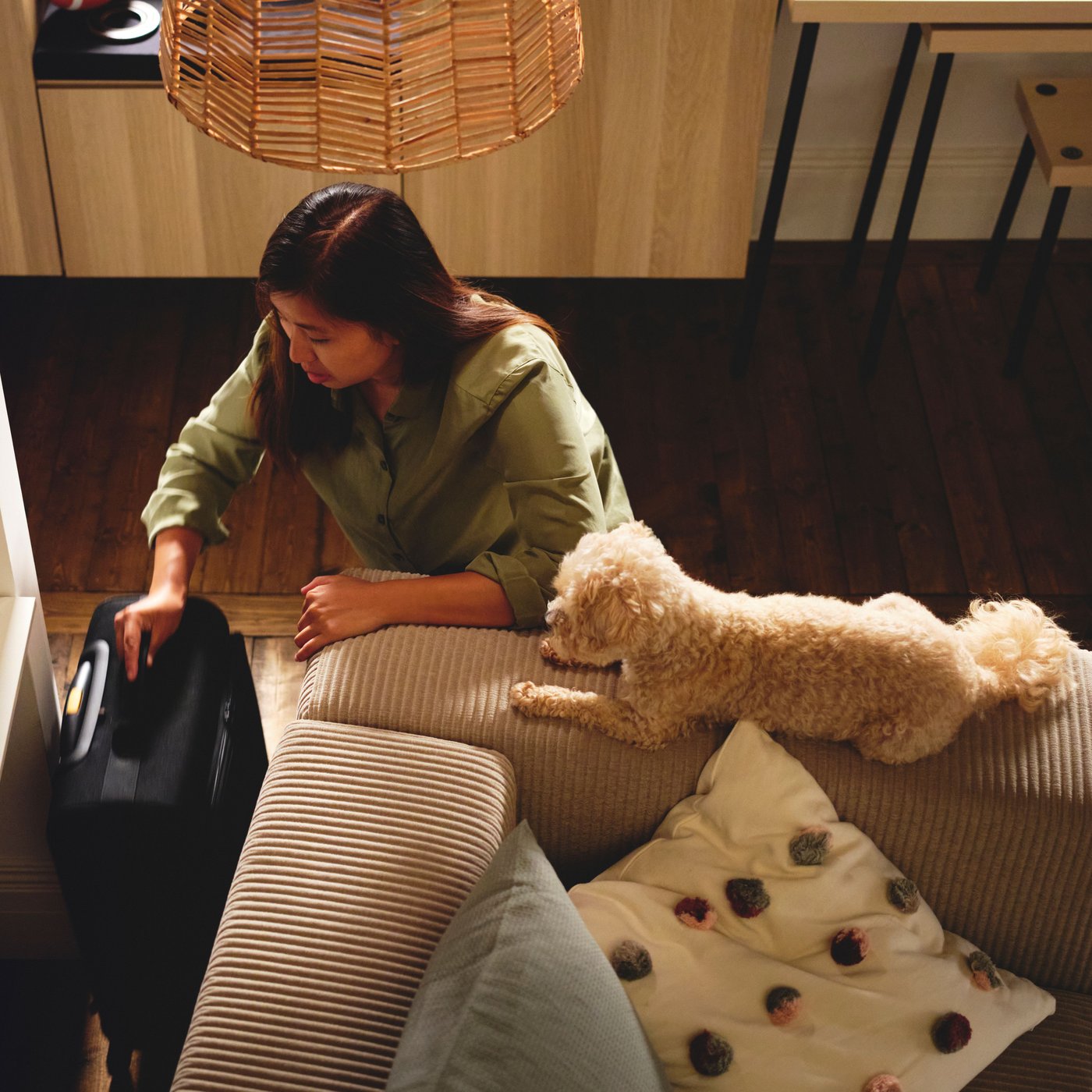 A dog next to a person taking a black VÄRLDENS cabin bag on wheels out from behind a JÄTTEBO 3-seat modular sofa.