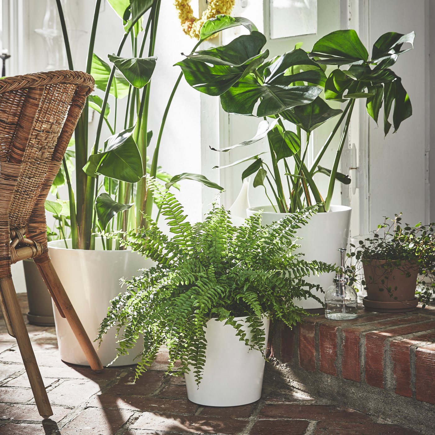 Flera krukor utomhus med sol på sig