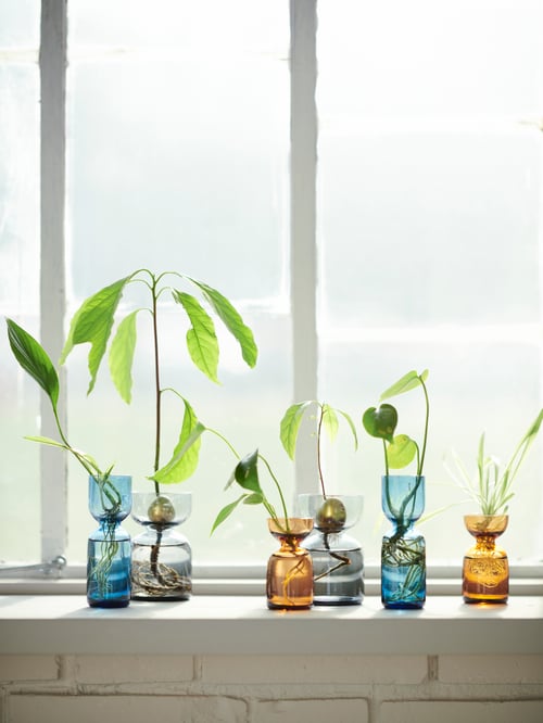 Outdoor featuring multiple mixed-coloured DAKSJUS vase sets of 3 made of glass, placed on a window ledge.