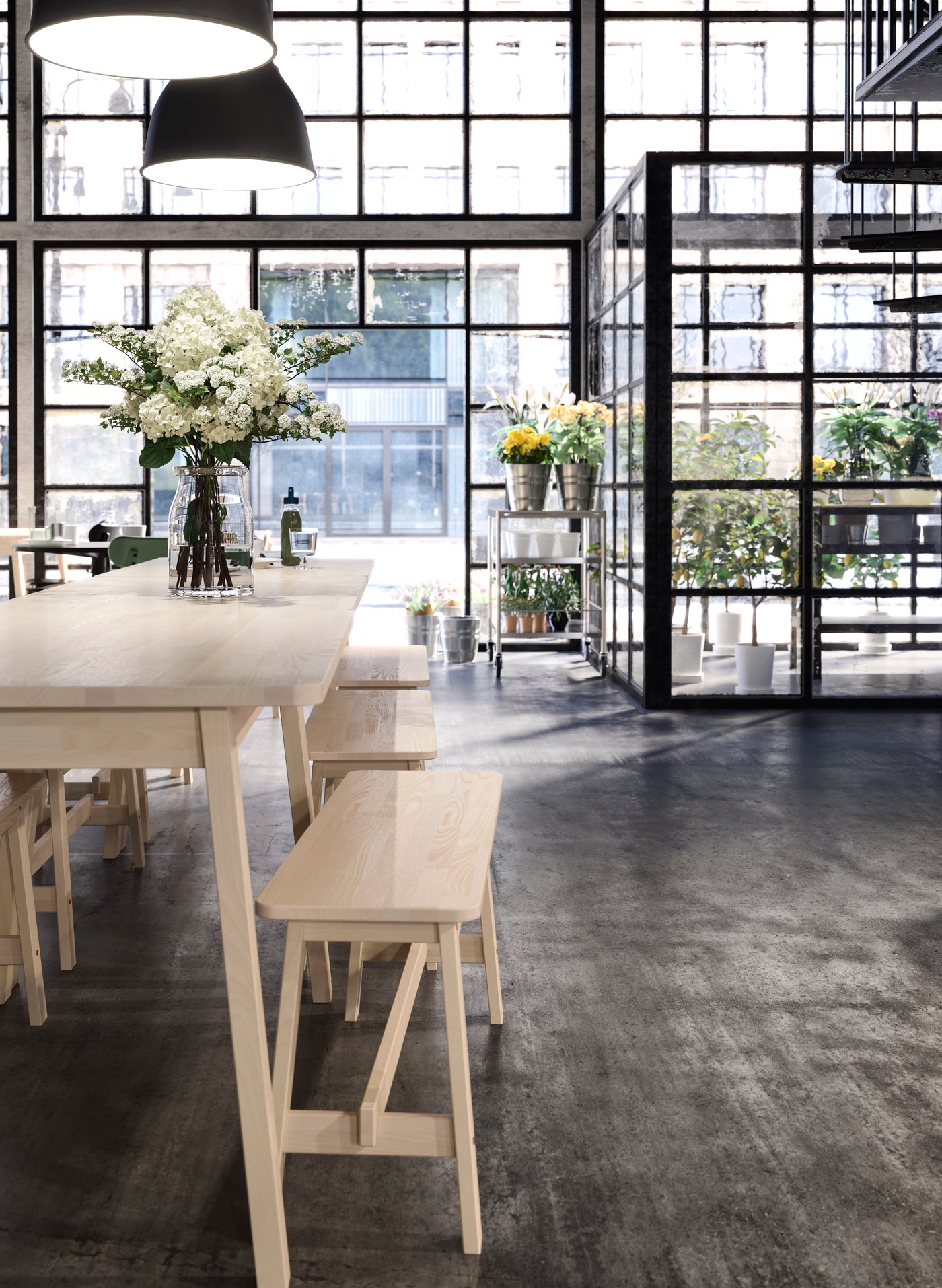 Ljust, modernt rum med stora spröjsade fönster, ett långt träbord med bänkar och blomsterarrangemang, svarta pendellampor ovanför samt en inglasad avskild yta med växter i bakgrunden.
