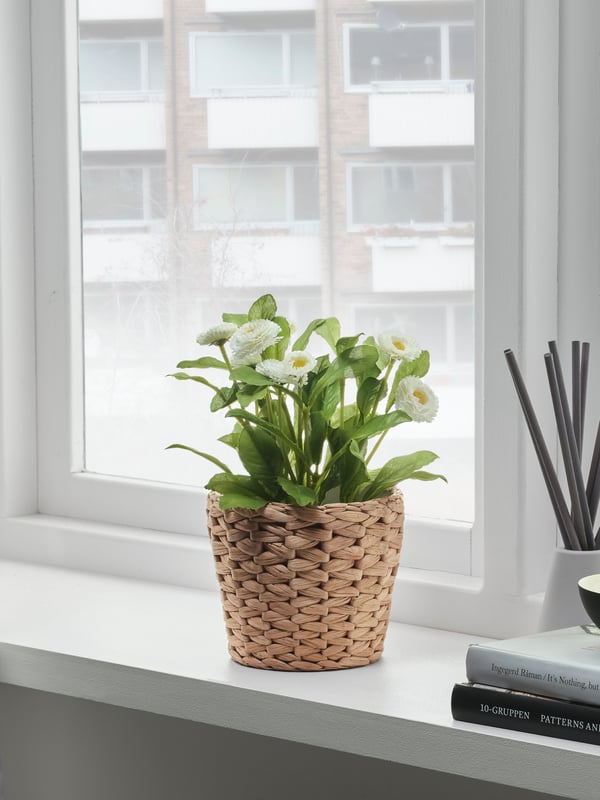 A water hyacinth FRIDFULL plant pot