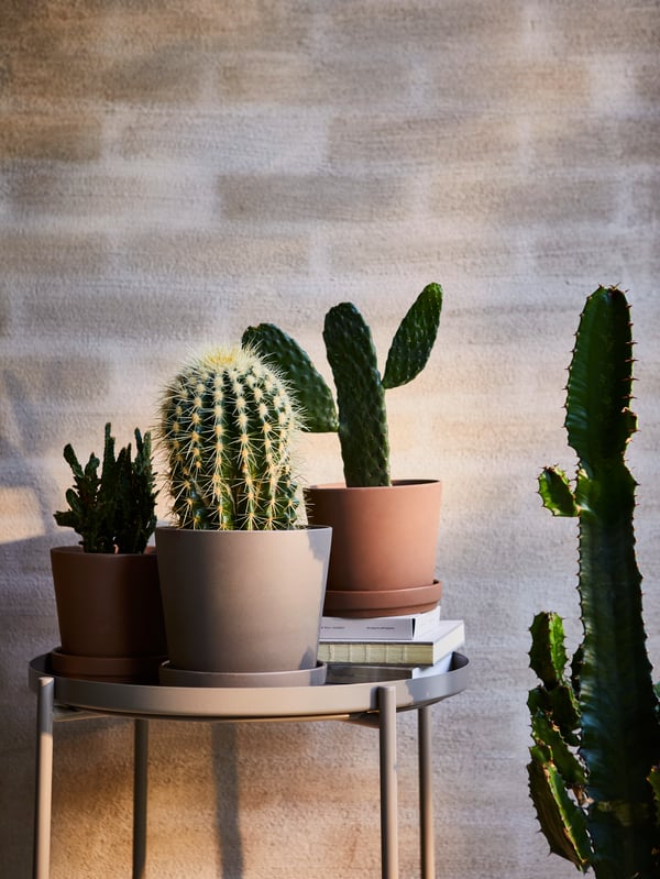 An in/outdoor brown KLARBÄR plant pot with saucer
