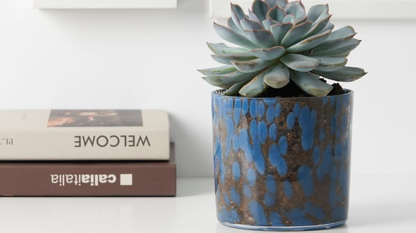 A dotted blue ULLSYREN plant pot