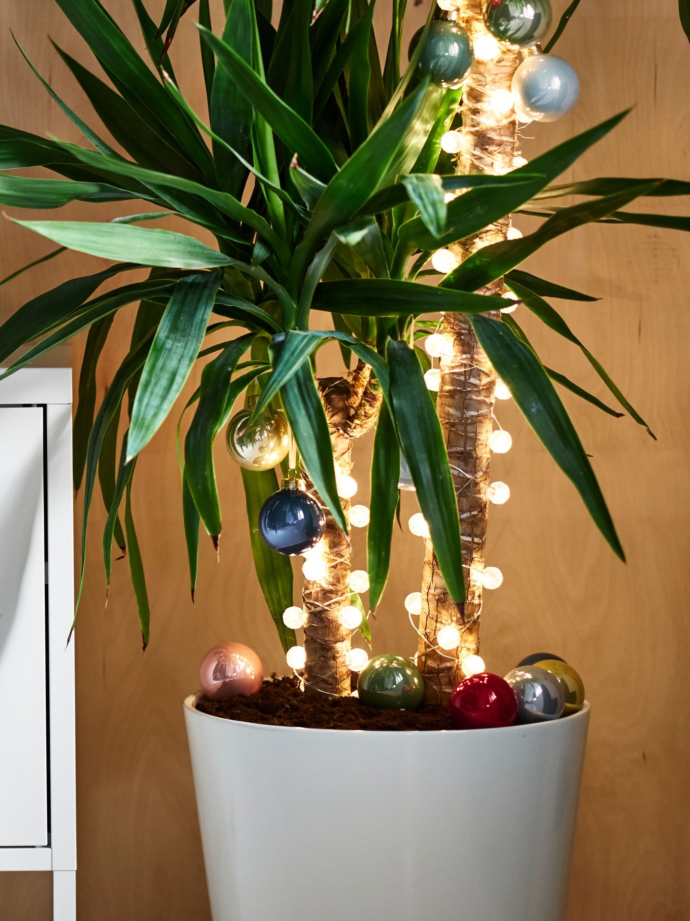 A white SOJABÖNA plant pot