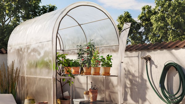 An ASPAREN greenhouse in a sunny garden, filled with various terracotta pots containing plants and herbs.