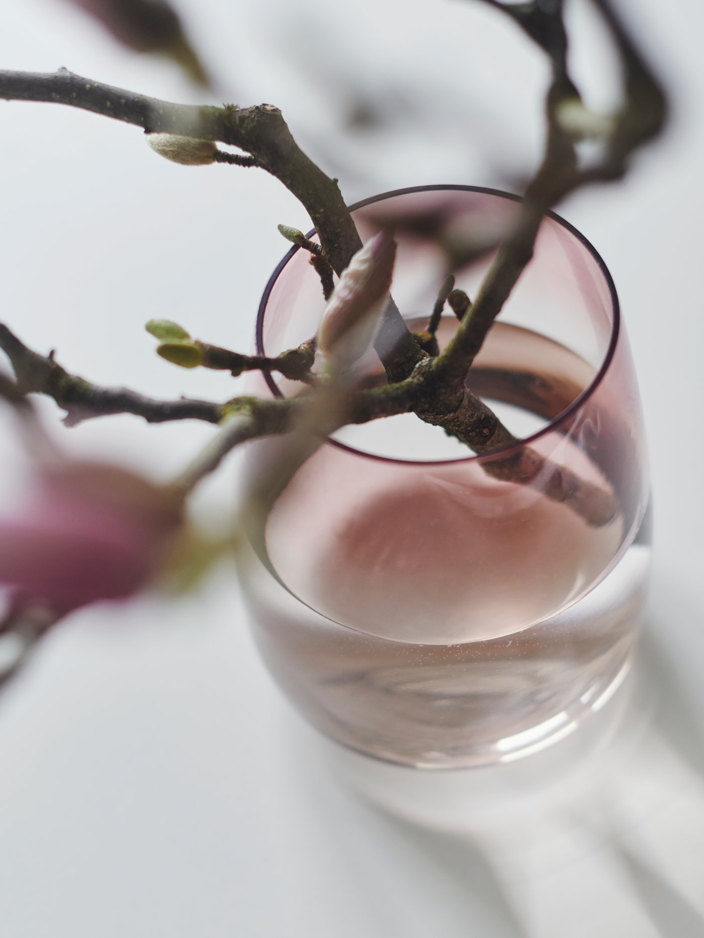 Vas kaca BERÄKNA berwarna merah jambu gelap bercahaya lembut yang diletakkan pada atas meja, terdapat satu tangkai bertunas.