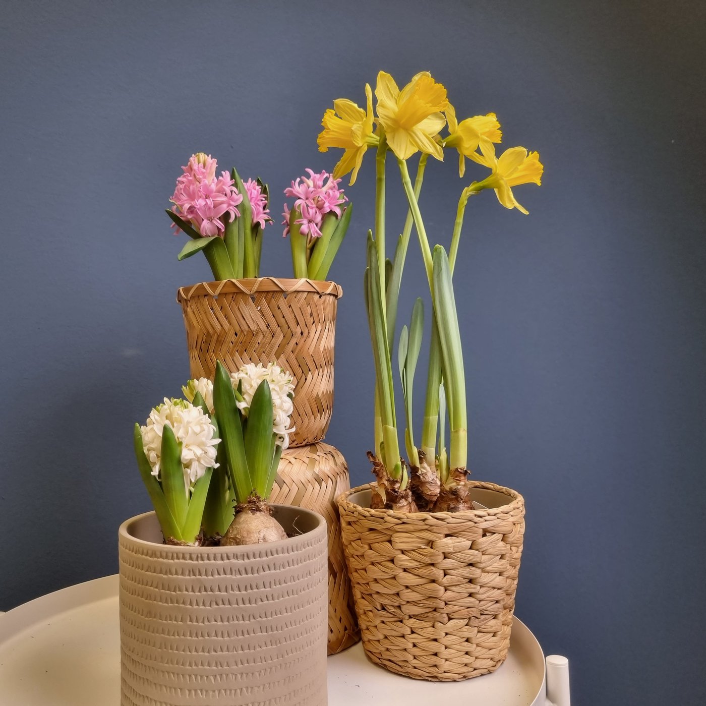 Tre krukor med färglada blommor