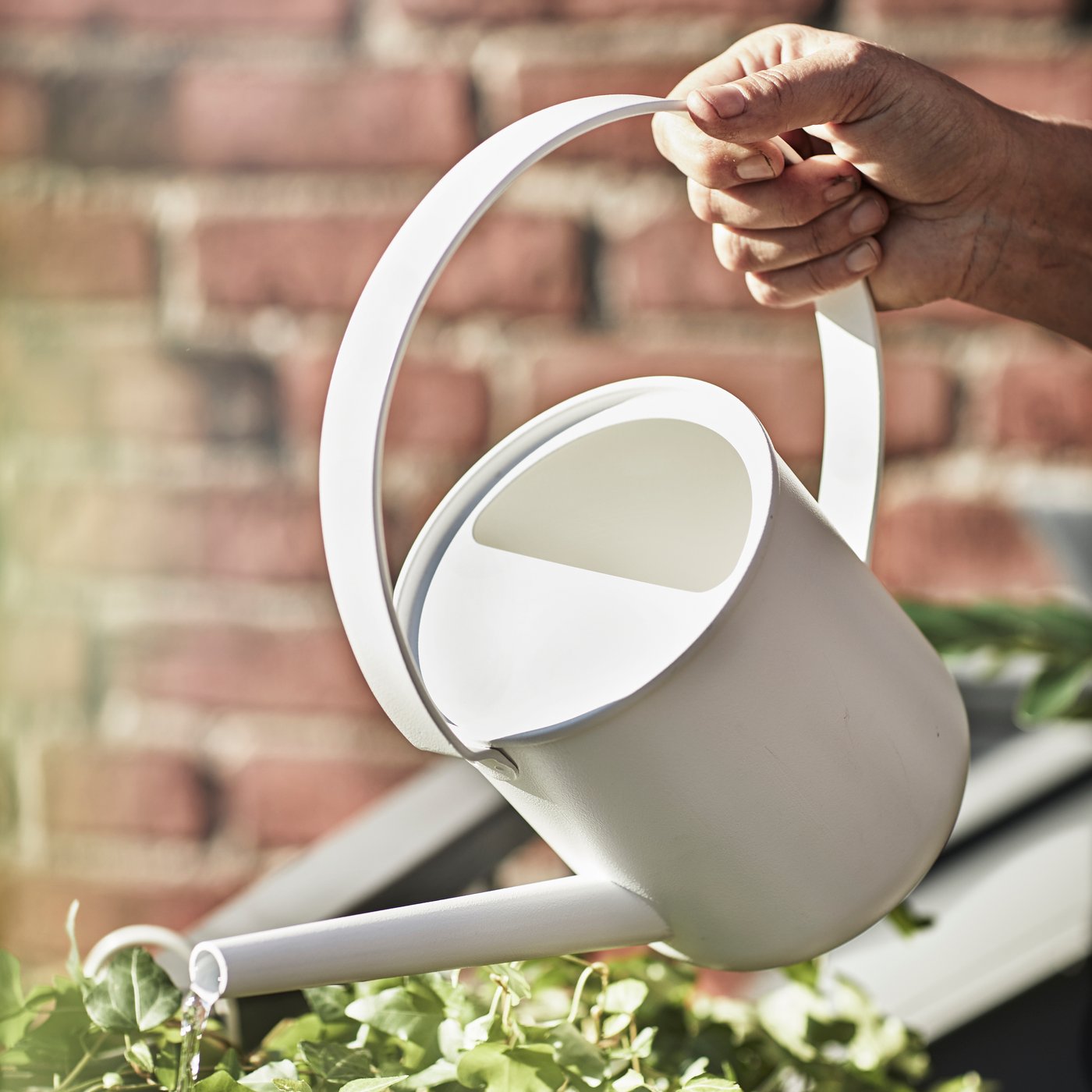 En hand håller en vit vattenkanna med lång pip och vattnar gröna växter framför en bakgrund av tegelvägg.

