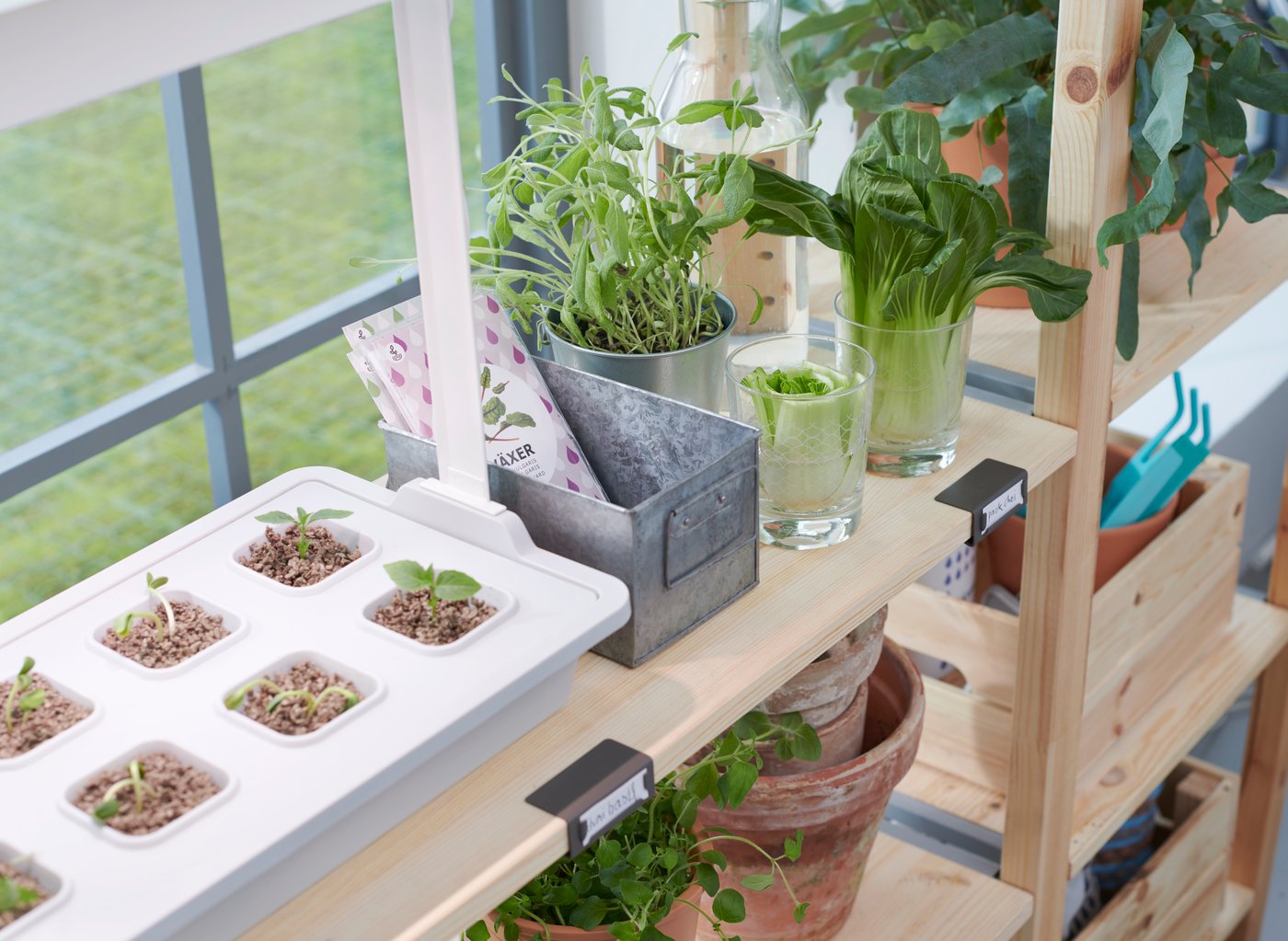 Estanteria de madera con varios recipientes con plantas y un minihuerto en un semillero