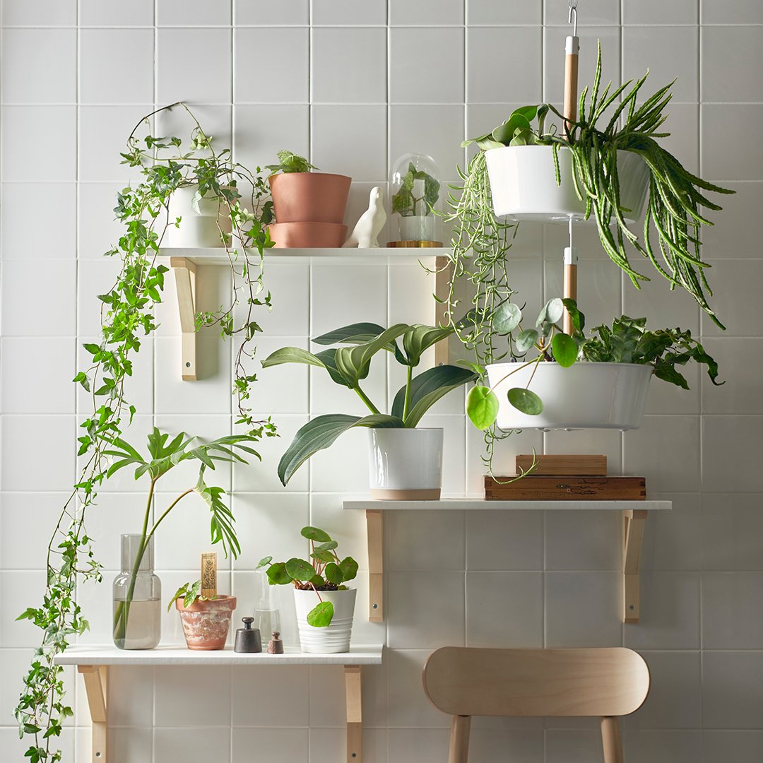 A white BITTERGURKA hanging planter
